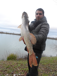Photo n°7 de planete carpe à Miremont (Club de pêche)