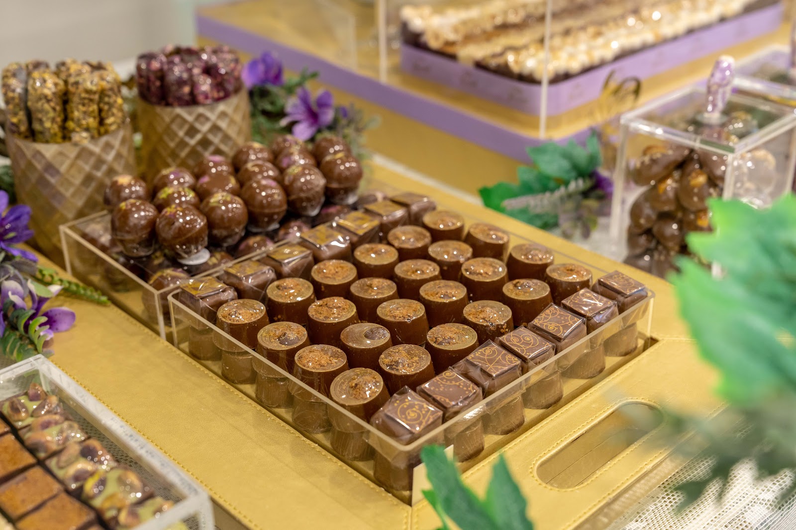 Xocolatl ME - صورة 4