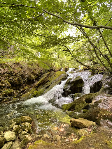 Zirauntza Errekaren Iturburua - Thumbnail
