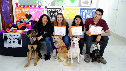 Cambia un destino Hospital de animales