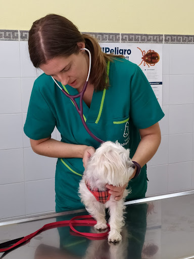 Abeiro Hospital Veterinario