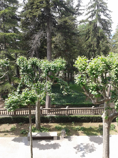 Sthetic Olot - Thumbnail