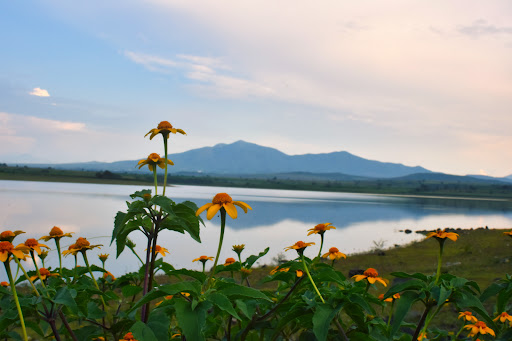 Presa de Ticuítaco