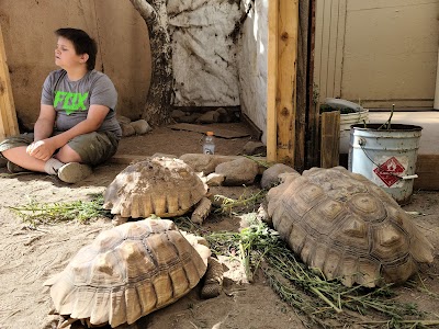 Colorado Gators Reptile Park