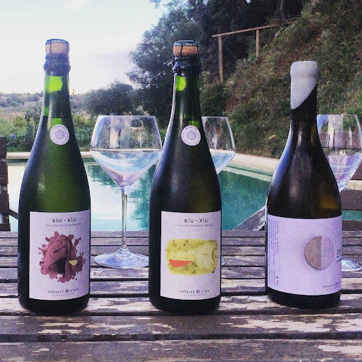 CELLER CASTAÑÉ - Visual