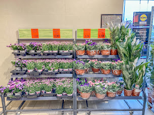 Photo n°5 de Lidl à Montmorillon (Supermarché)