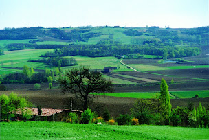 Photo n°4 de La ferme du Chaudron Magique à Brugnac (Ferme bio)