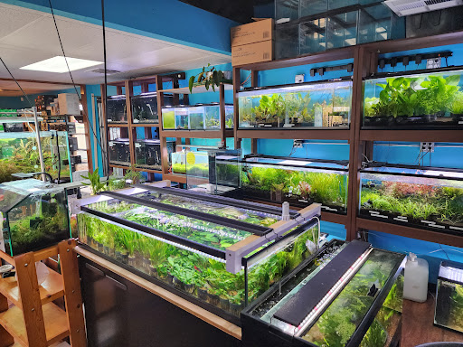Aqua Nature Tropical Fish & Exotic Pets