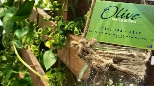 Olive Nails and Spa
