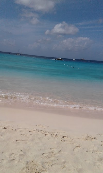 Photos of Roger's Scuba Shack