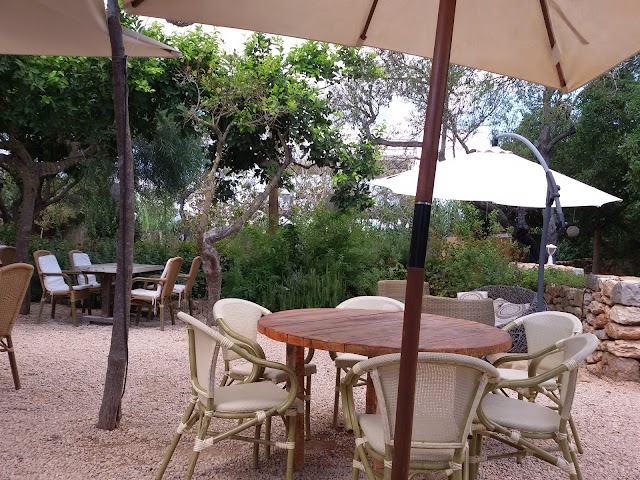 Ecocentro Ibiza