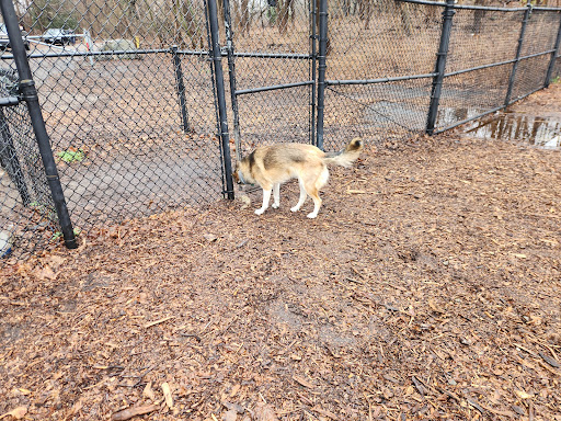 East Providence Dog Park - Thumbnail
