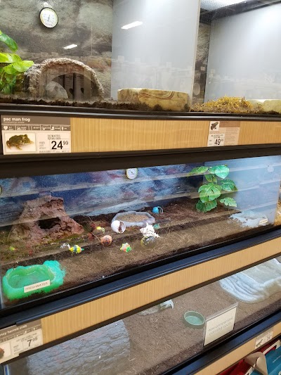 Petco