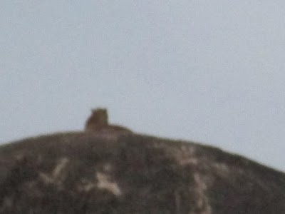 Photos of Queenki Tours and Travels