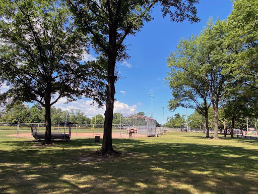 Brainard Park - Visual