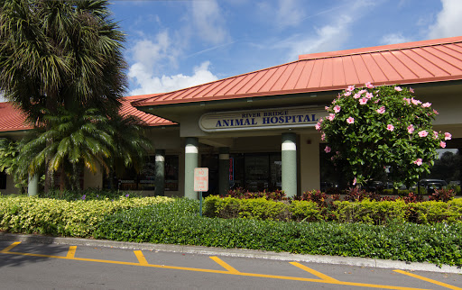 River Bridge Animal Hospital - Thumbnail