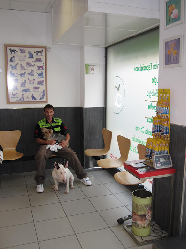 Centro Veterinario Covaresa