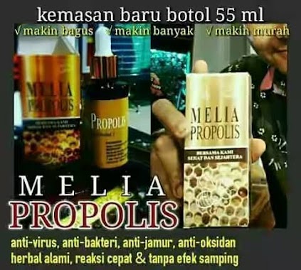 Pusat Agen Resmi Melia propolis, Author: Marsudin