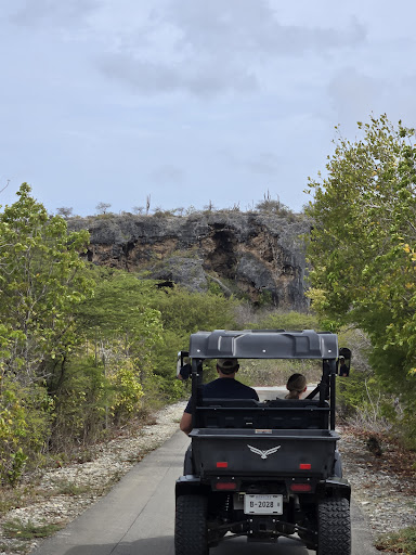 Bonaire Cruisers Golf Carts - Thumbnail