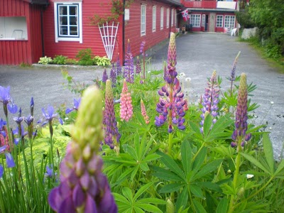 Photos of Stryn Hostel