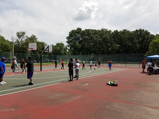Nowell Park - Visual