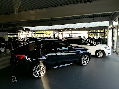 car-dealer