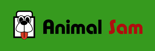 Animal Sam - Visual