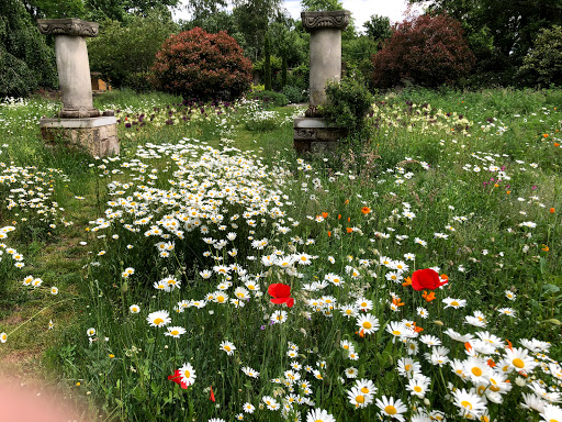 Mull & Ohlendorf Garten- und Landschaftsbau - Thumbnail