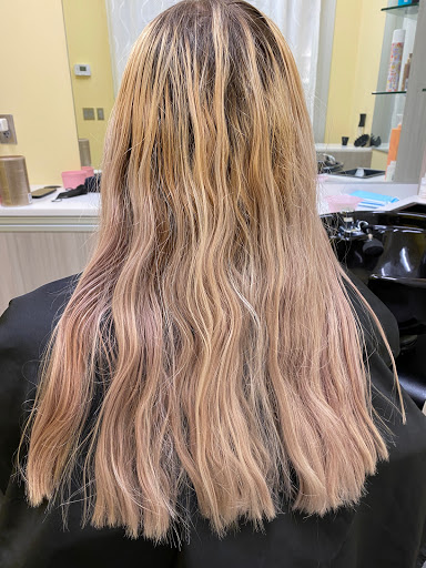 Buzzy Salon - Visual