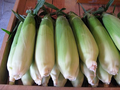 Photos of Moelker Orchards & Farm Market