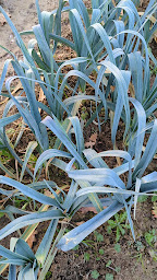 Photo n°23 de La Ferme des yentou à Escondeaux (Ferme)