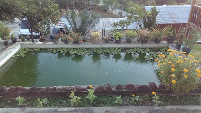 Photos of Losmen Kencana