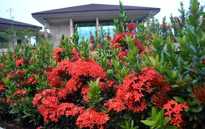 Photos of Ashesi University College