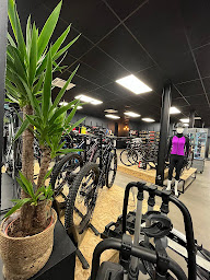 Photo n°16 de Au Magasin de Vélo à Aurillac (Cyclisme sur route)