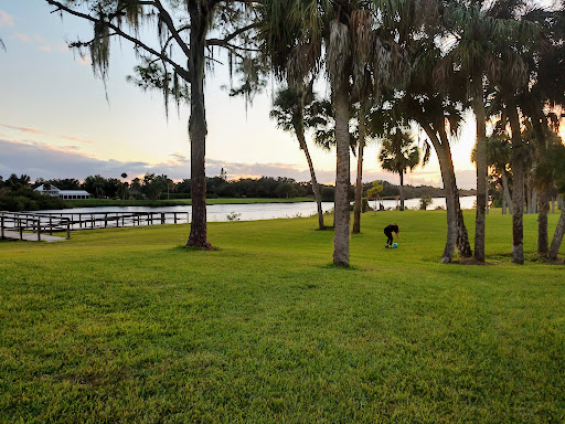 Riverside Camping - Visual