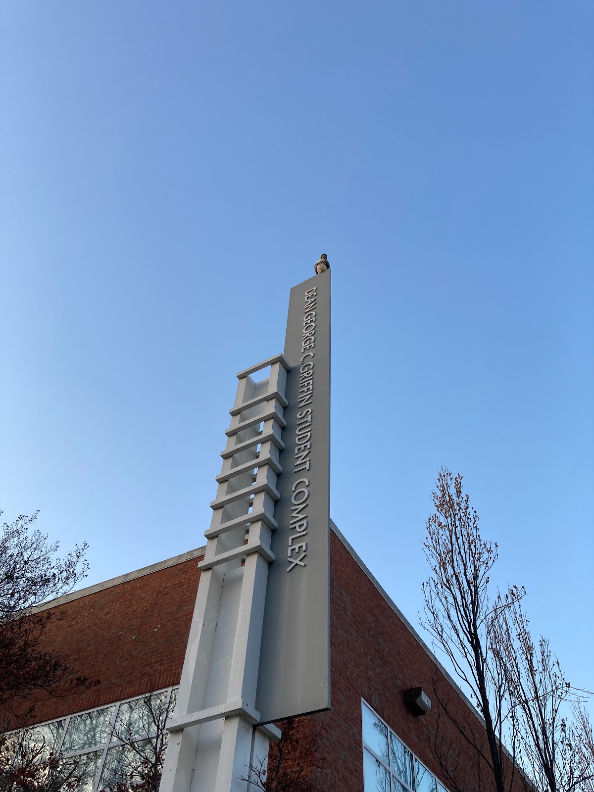 Area 2 - Visitor Parking