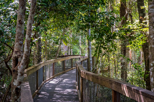 Sea Acres Rainforest Boardwalk