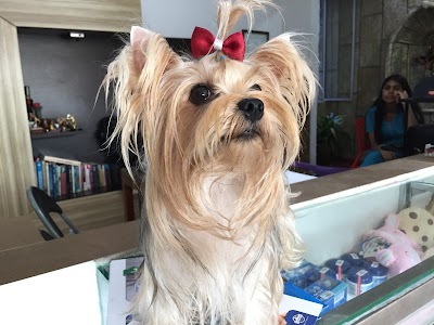 Photos of The Veterinary Clinic 38