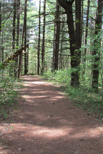 Sandhill Nature Preserve - Thumbnail