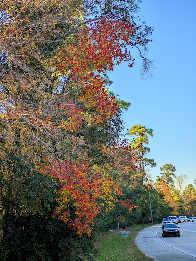Mason Pond Park