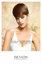 Photo n°26 de Divina Coiffure à Châtellerault (Magasin de perruques)