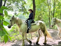 大和ホースパーク