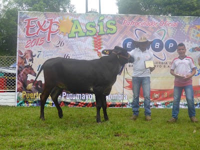 Photos of Selecci&oacute;n Superior