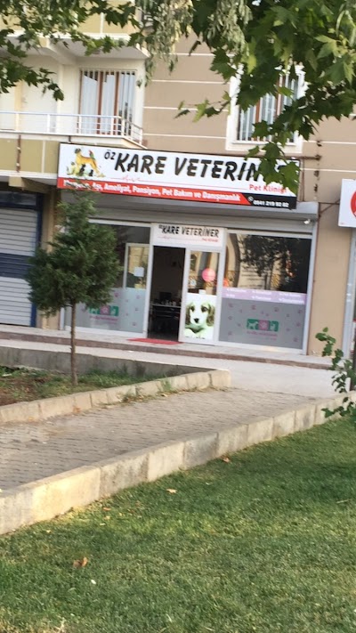 Photos of Karen Veterinary Pet Clinic