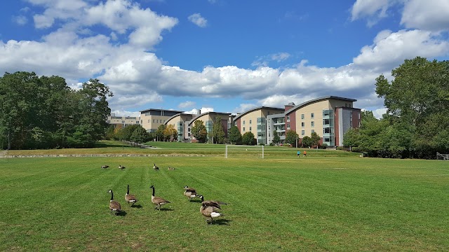 Franklin W. Olin College of Engineering