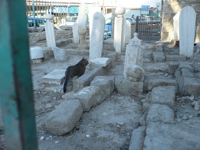 Photos of B&uuml;y&uuml;k Cami مسجد