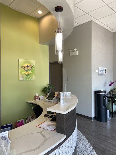 DentArt Chicago