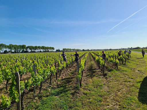 GIRONDE EMPLOI AGRICOLE LIBOURNE - Thumbnail