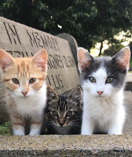 Gilbertson Nature Center - Thumbnail