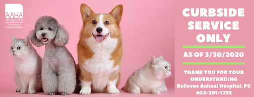 Bellevue Animal Hospital PC